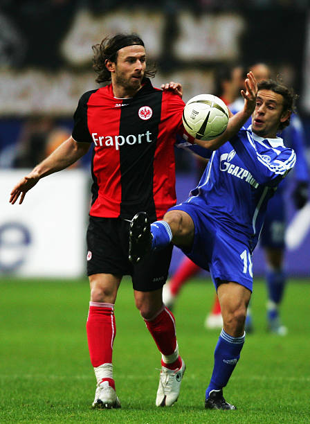 尤其是进入 尤其是进入